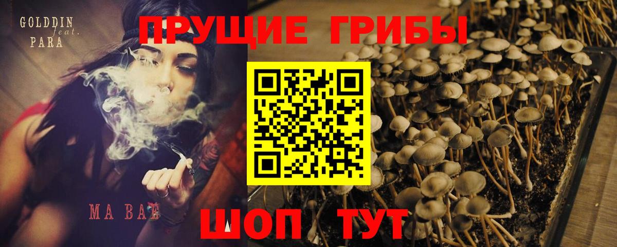Севастополь  Галлюциногенные грибы мухоморы  Псилоцибиновые грибы ЛСД  Вход с VPN 